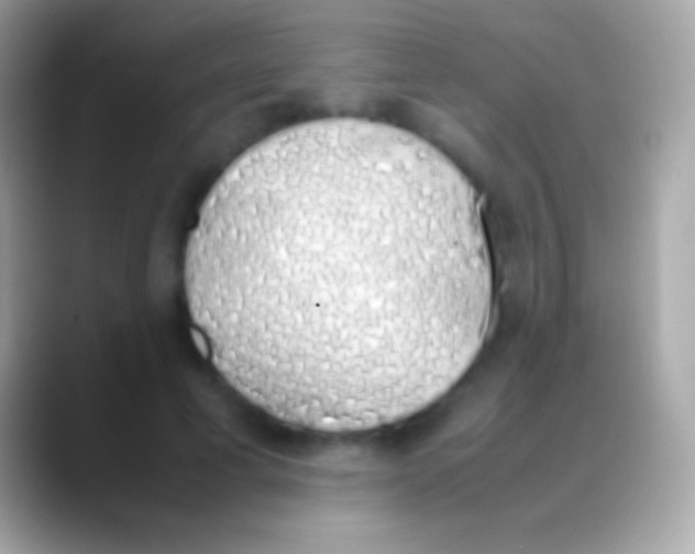 X0000088150593200706041356