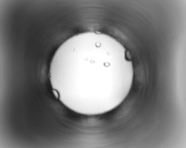 X0000088150594200706041356