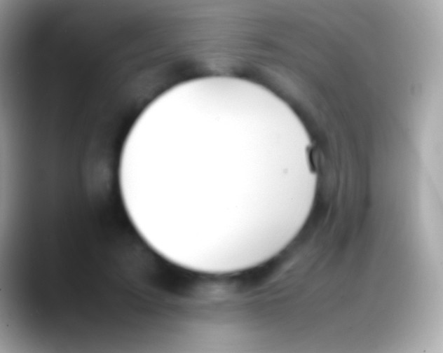 X0000088150595200706041356