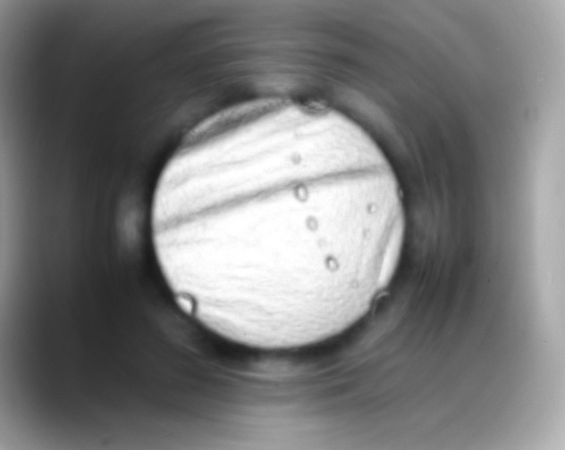 X0000088150596200706041356