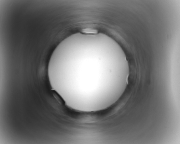 X0000088150597200706041356