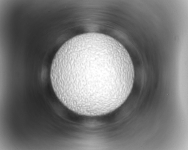 X0000088150598200706041356