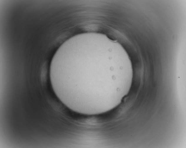 X0000088150600200706041356