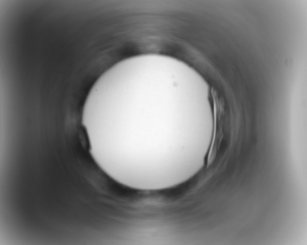 X0000088150601200706041356