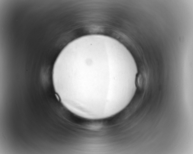 X0000088150604200706041356