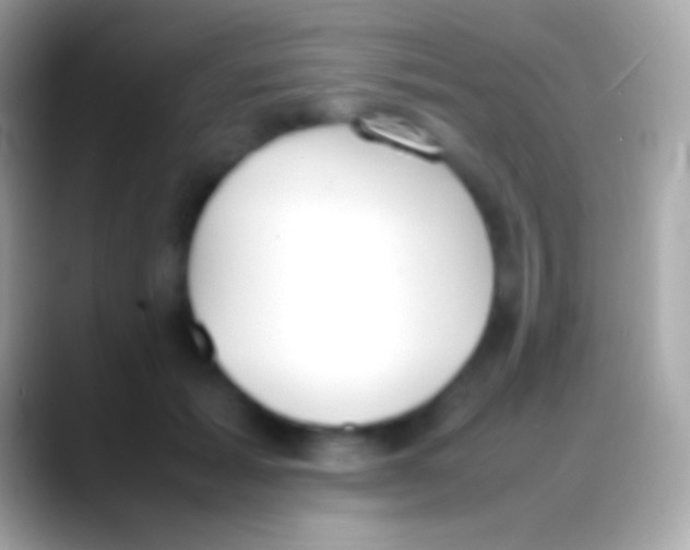 X0000088150605200706041356