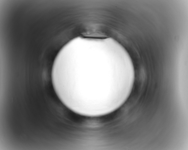 X0000088150606200706041356