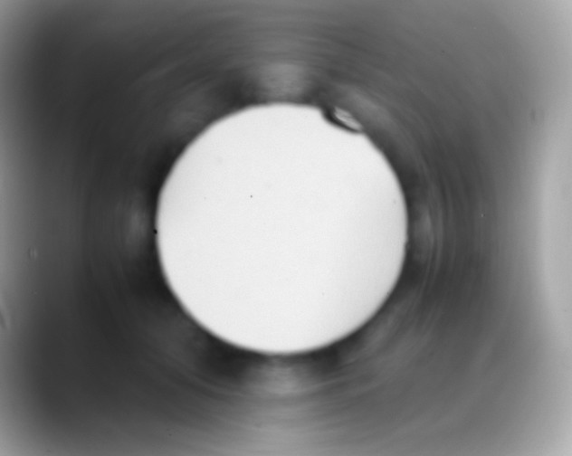 X0000088150608200706041356