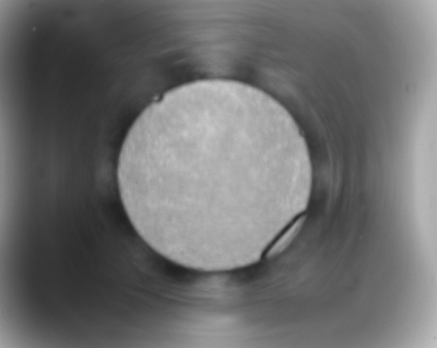 X0000088150609200706041356