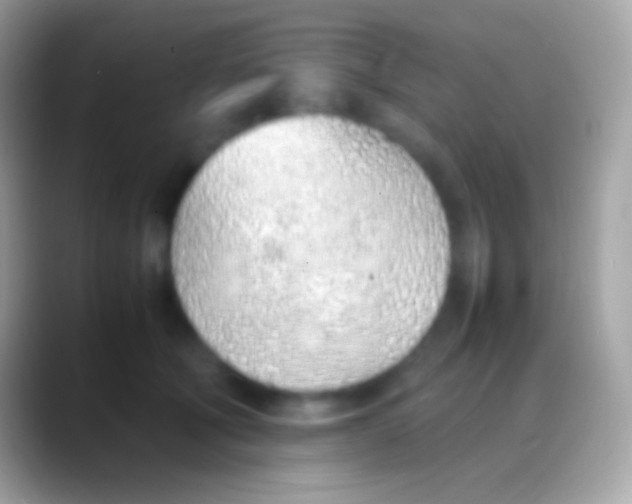 X0000088150610200706041356