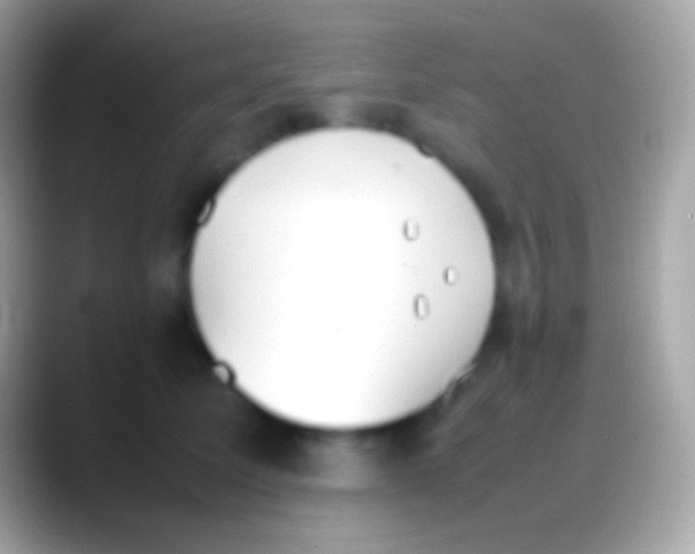 X0000088150611200706041356