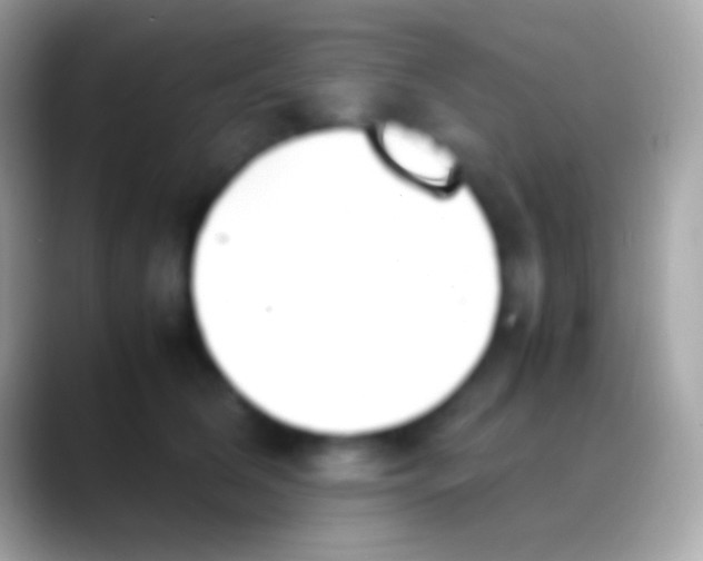 X0000088150612200706041356