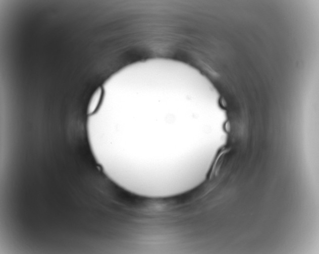 X0000088150613200706041356