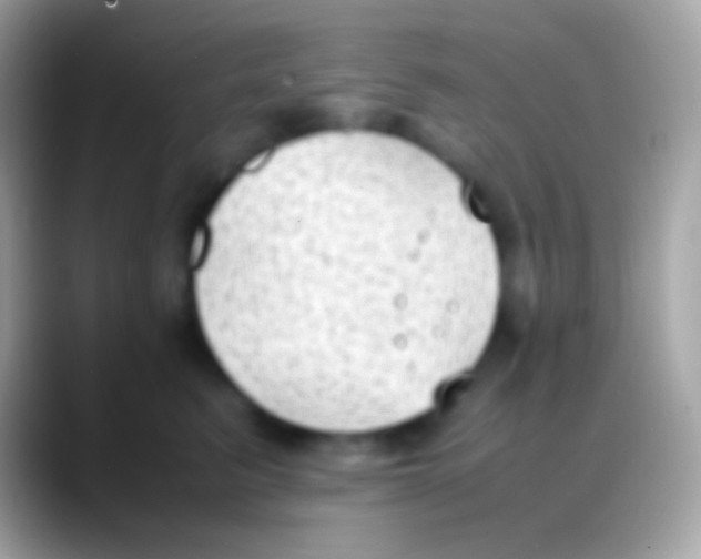 X0000088150615200706041356