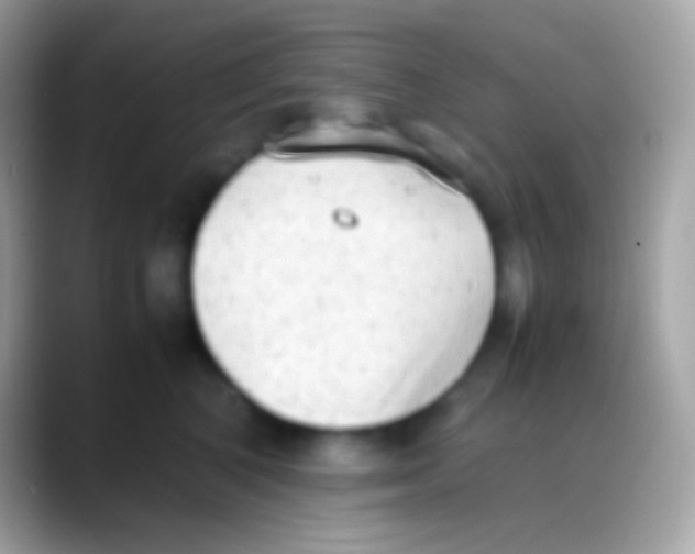 X0000088150616200706041356