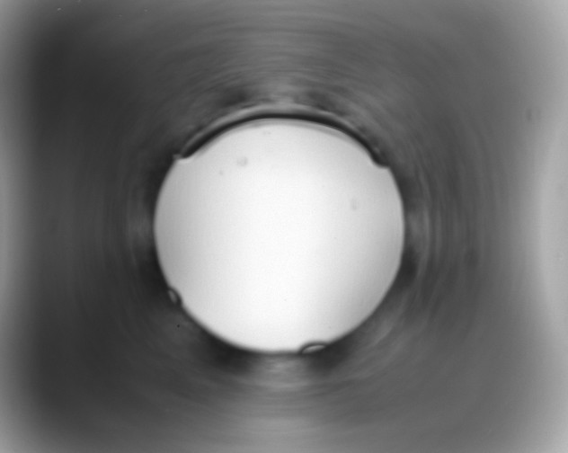 X0000088150617200706041356