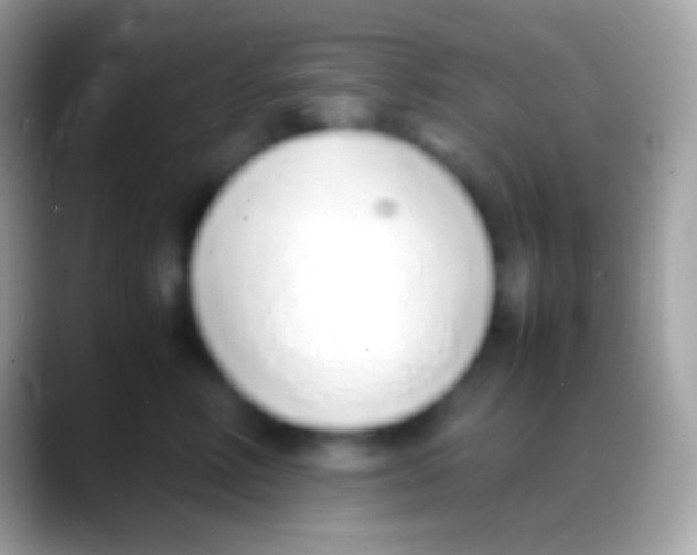 X0000088150618200706041356