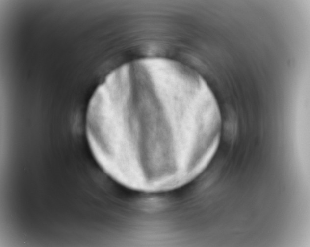 X0000088150620200706041356