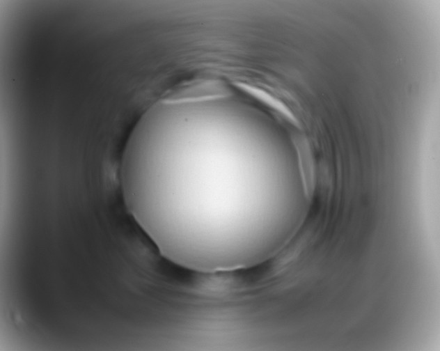 X0000088150621200706041356