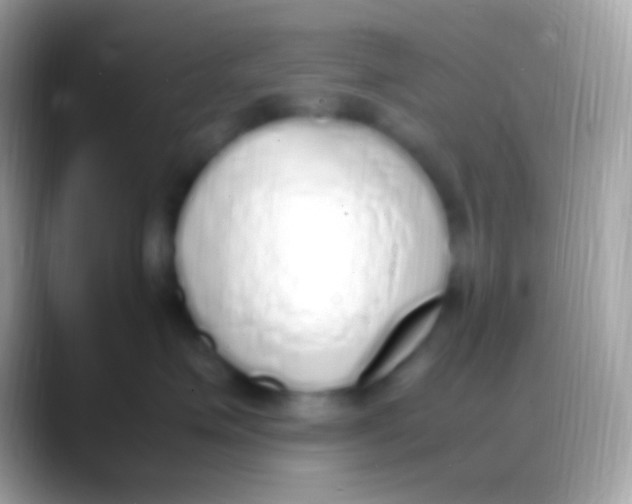 X0000088150623200706041356