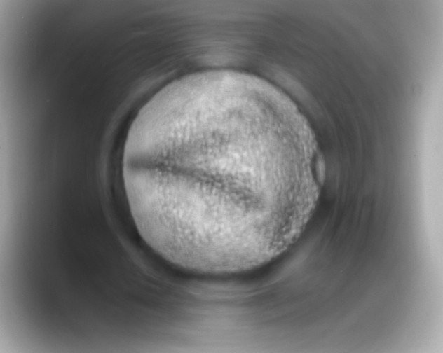 X0000088150626200706041355