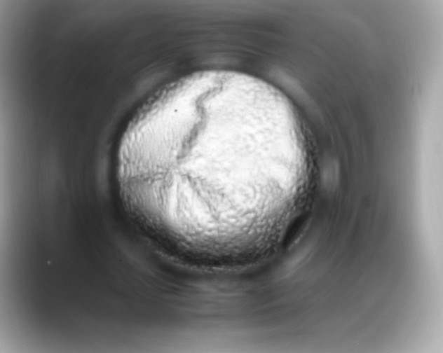 X0000088150627200706041355