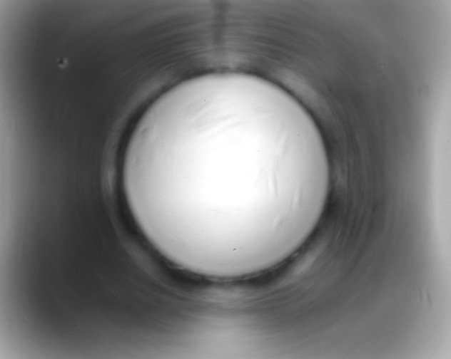 X0000088150630200706041355