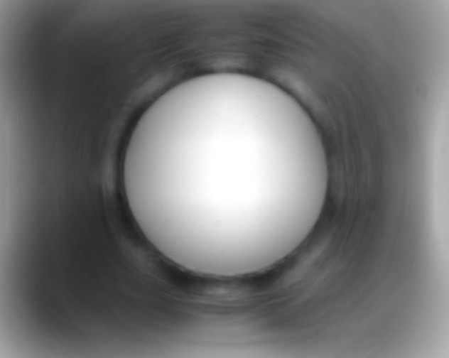 X0000088150631200706041355