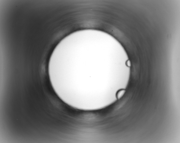 X0000088150636200706041355