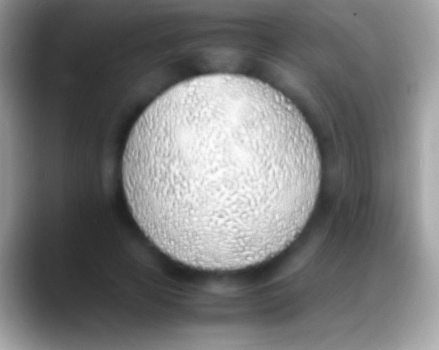 X0000088150641200706041355