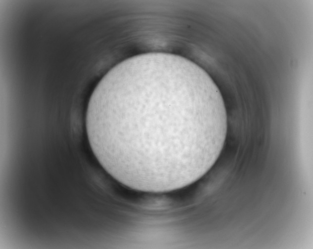 X0000088150642200706041355