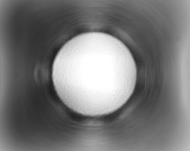 X0000088150644200706041355