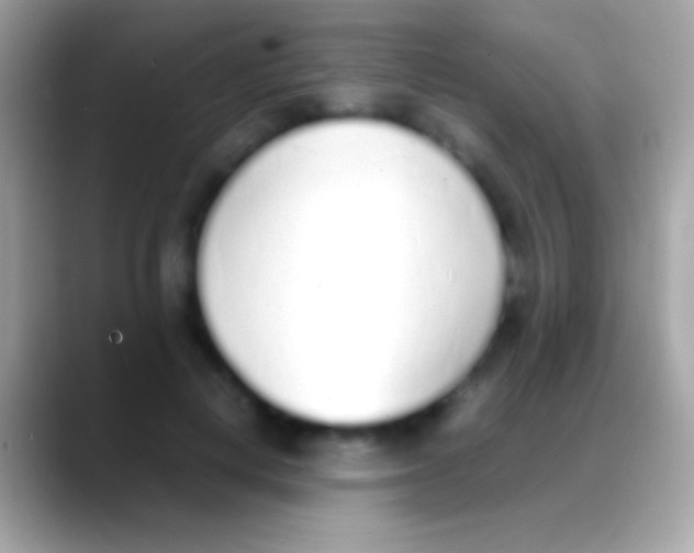 X0000088150648200706041355