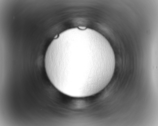 X0000088150649200706041355