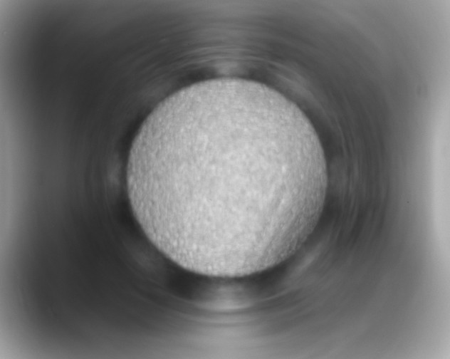 X0000088150650200706041355