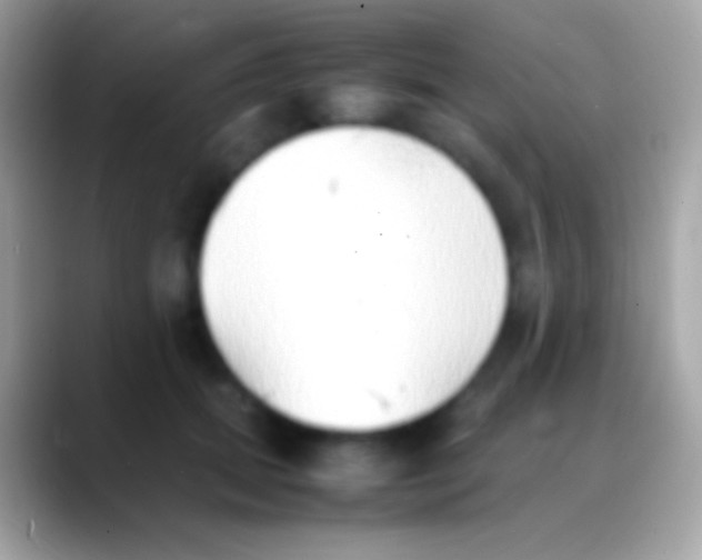 X0000088150655200706041356