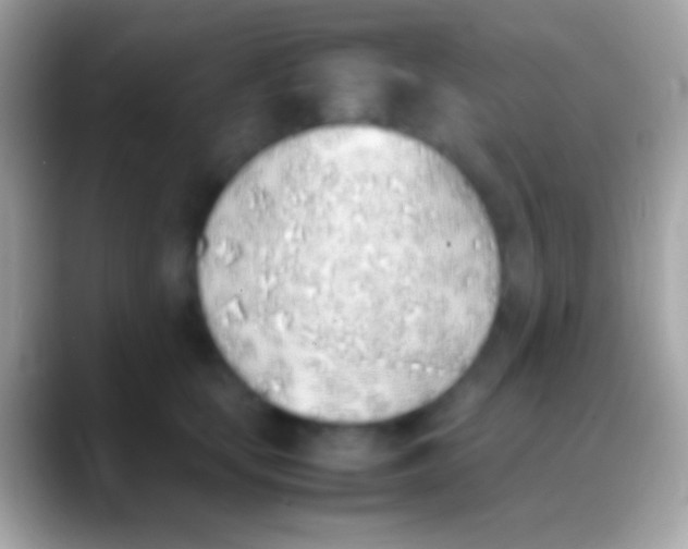 X0000088150659200706041356