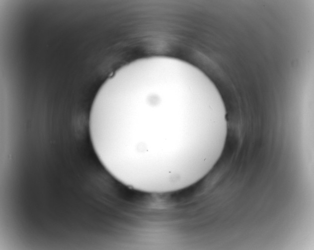 X0000088150660200706041356