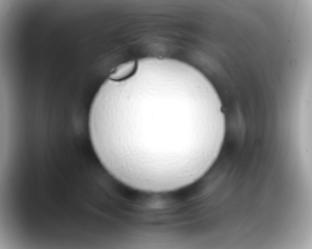 X0000088150663200706041356