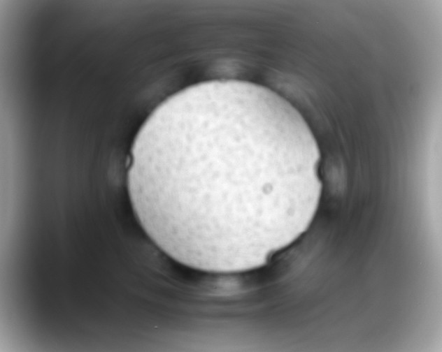 X0000088150665200706041356