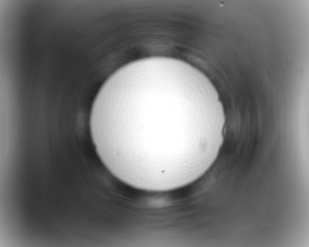 X0000088150667200706041356