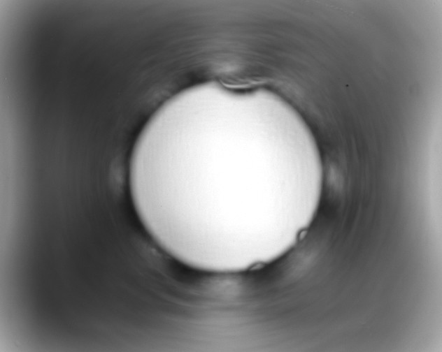 X0000088150668200706041356