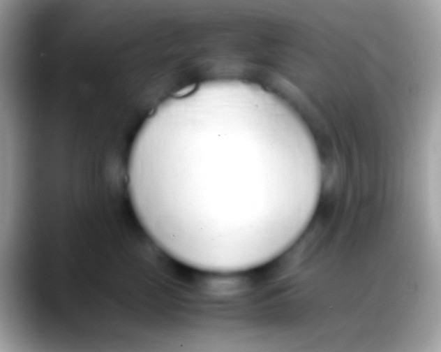 X0000088150669200706041356