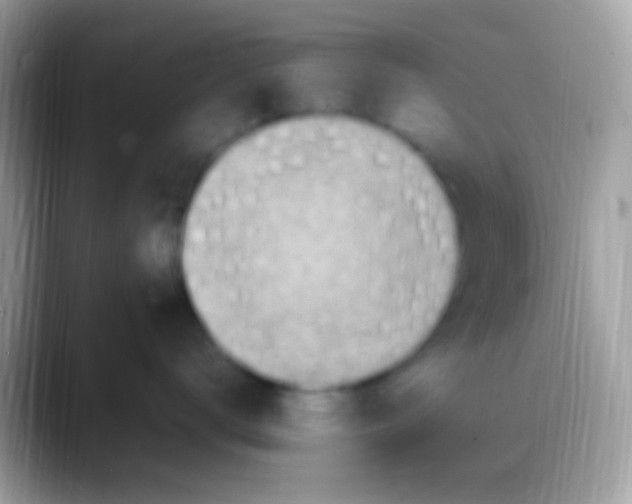 X0000088150672200706041356