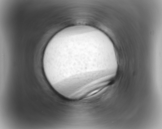 X0000088150673200706041355