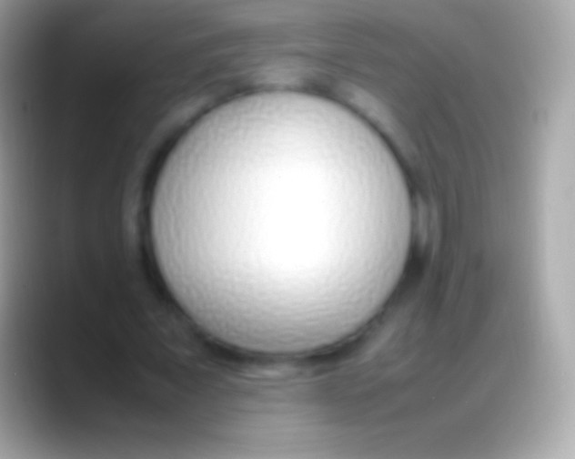 X0000088150675200706041355