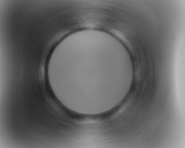 X0000088150678200706041355