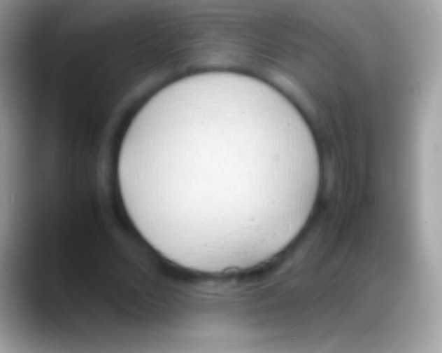 X0000088150680200706041355