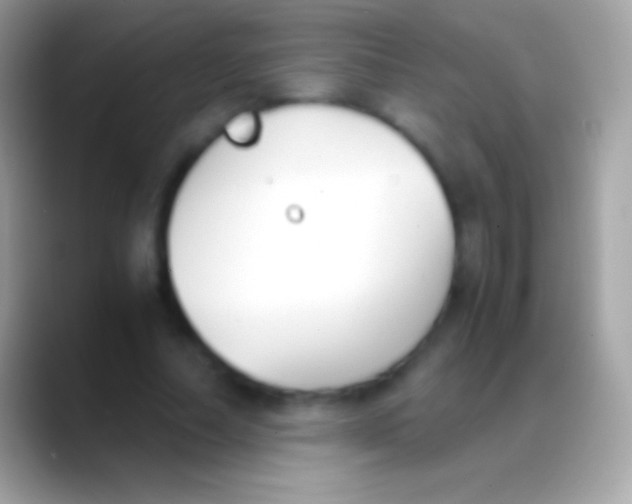 X0000088150682200706041355