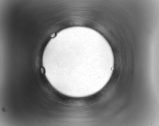 X0000088150683200706041355